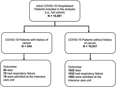 Frontiers | Outcomes and Risk Factors of Patients With COVID-19